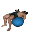 Dumbbell Press - Fitness Ball Reverse